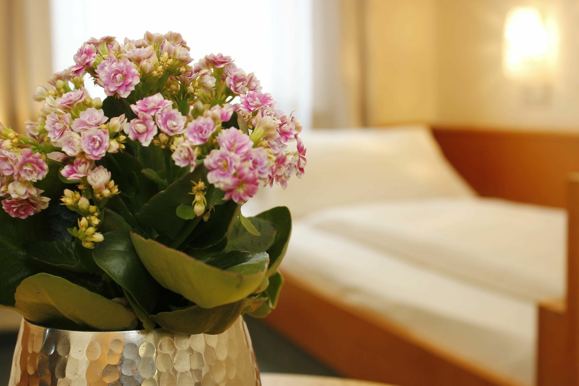 City Hotel Wuerzburg Eksteriør billede